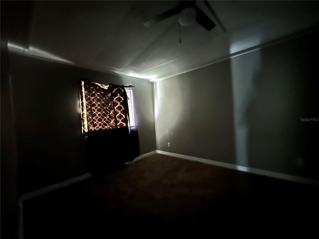 Picture 41