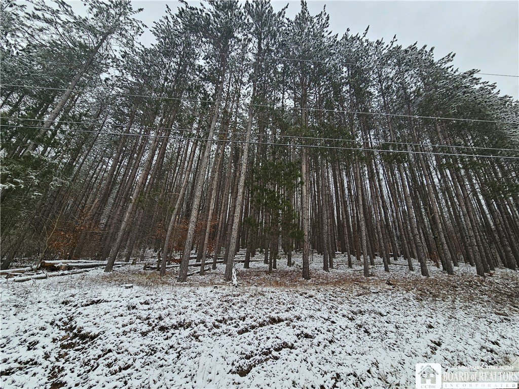 Portville, NY - Wooded Land