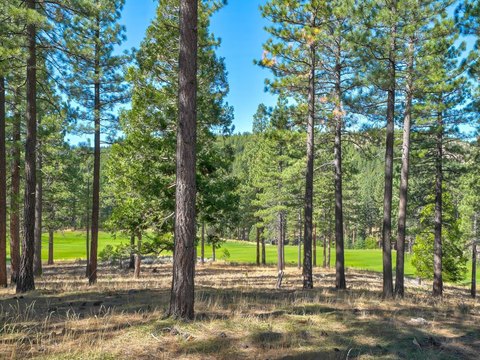 Treed Sloping Homesite Land