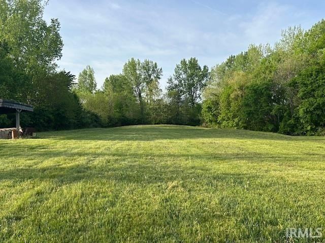Picture 4