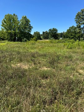 Commercial Land with Road Frontage