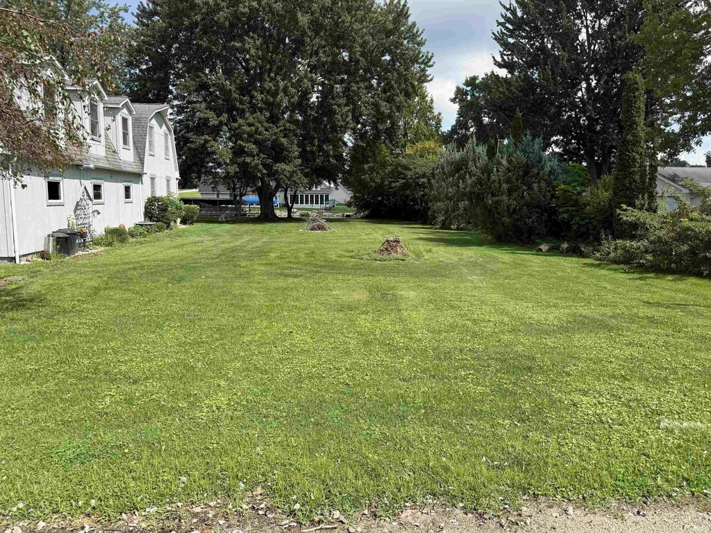 Picture 5