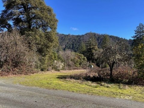 Buildable Lot with Mountain Views