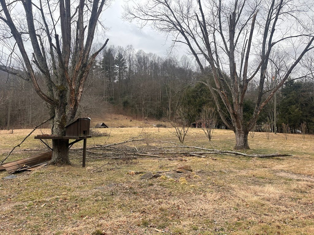 Picture 36