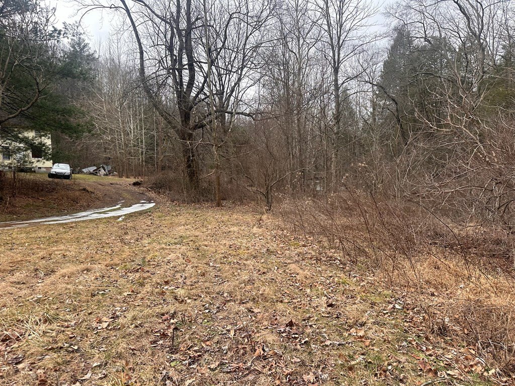 Picture 12
