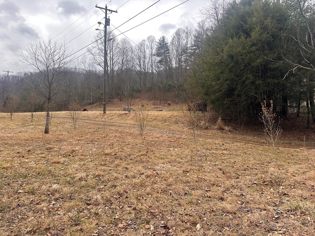 Picture 14