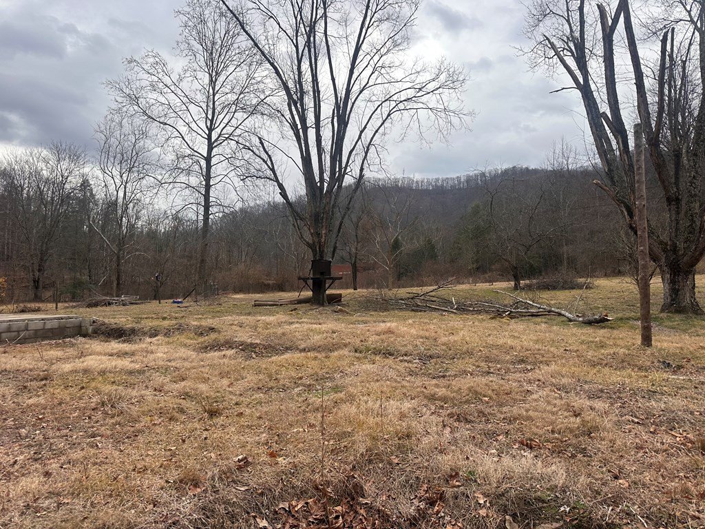 Picture 21