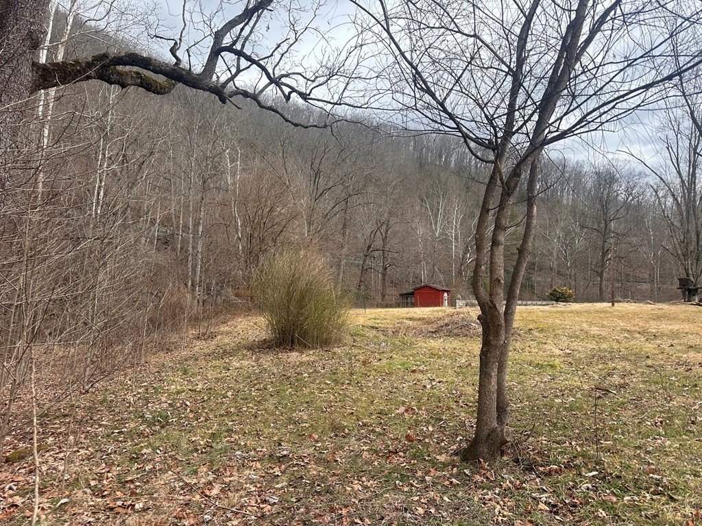 Picture 5