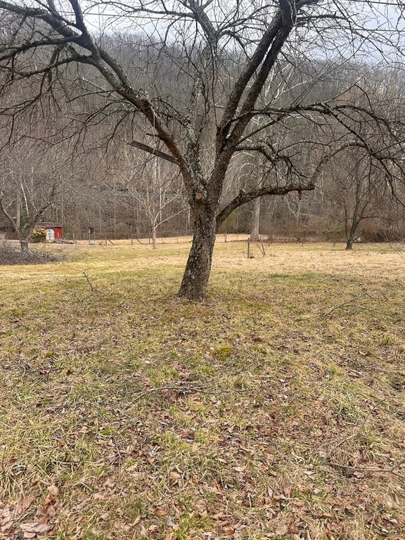Picture 68