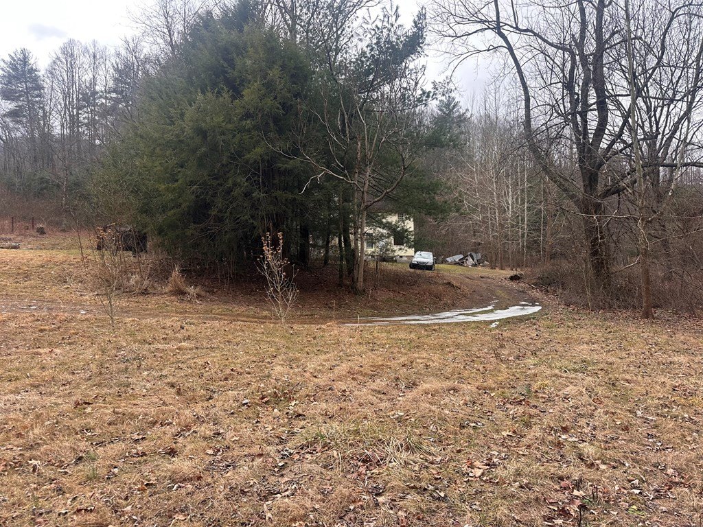 Picture 13