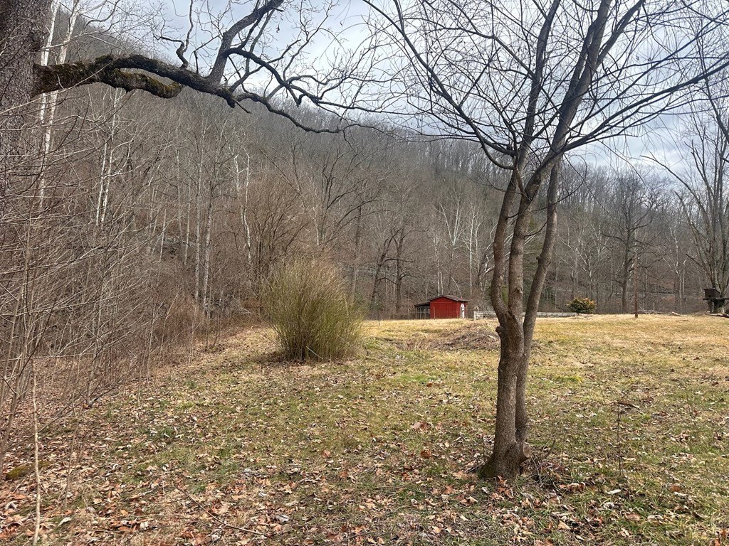 Picture 6