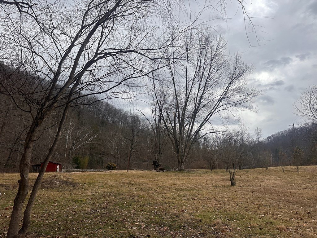 Picture 4