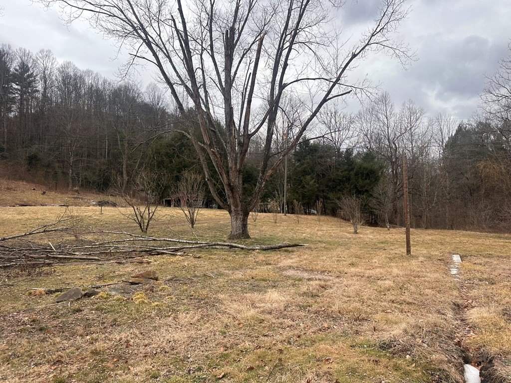 Picture 37