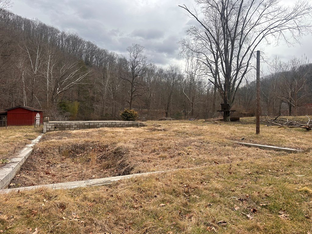 Picture 16