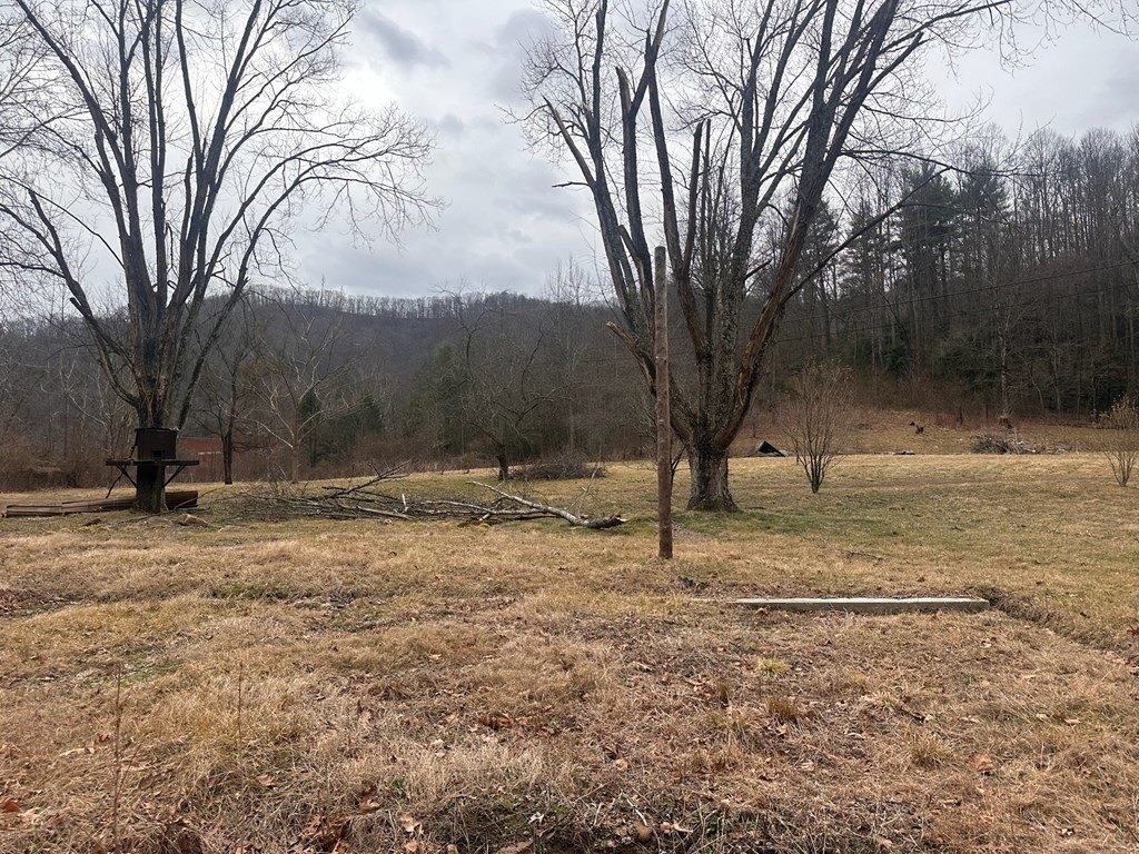Picture 22