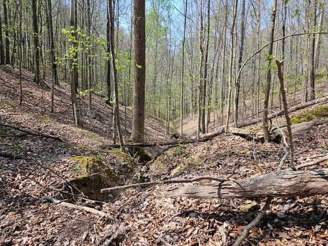 Hilham, TN Wooded Land