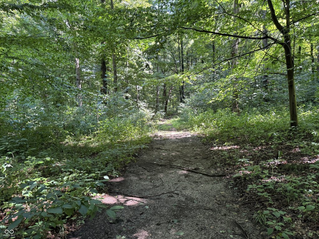Picture 20