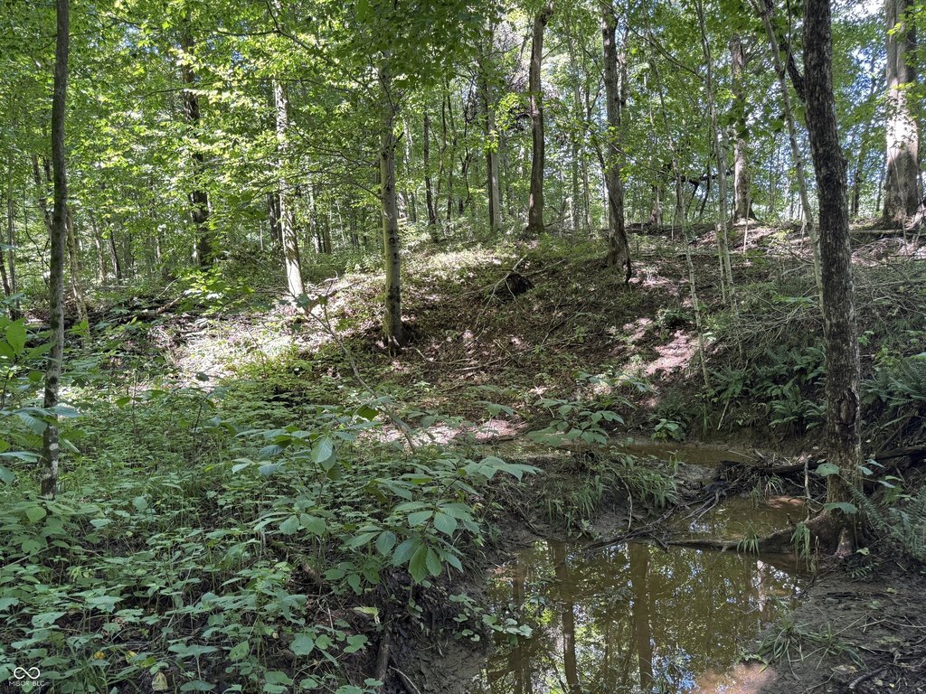 Picture 21