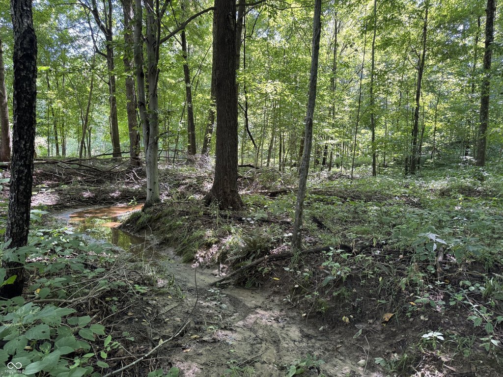 Picture 18