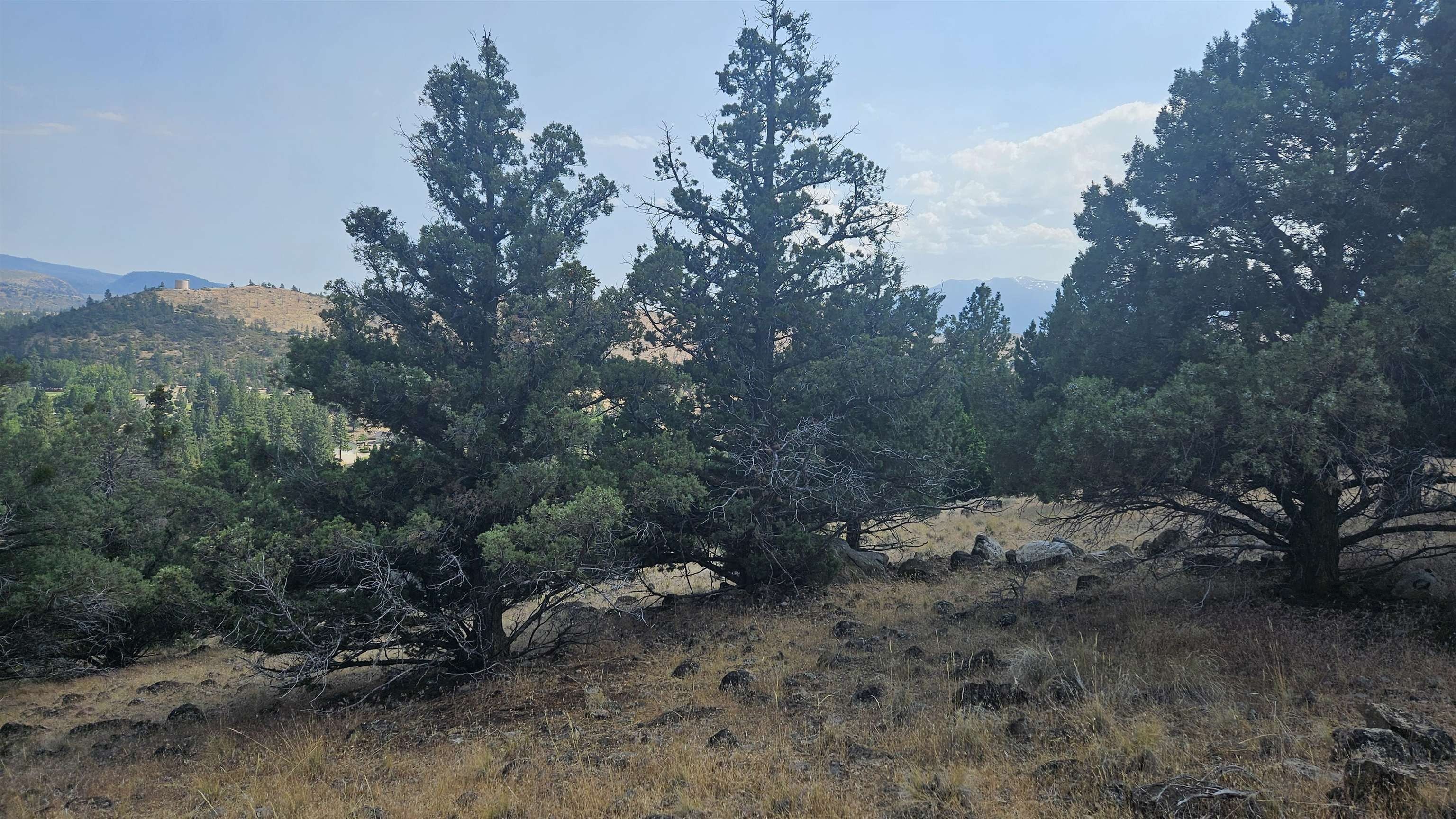 Buildable View Lot in Weed