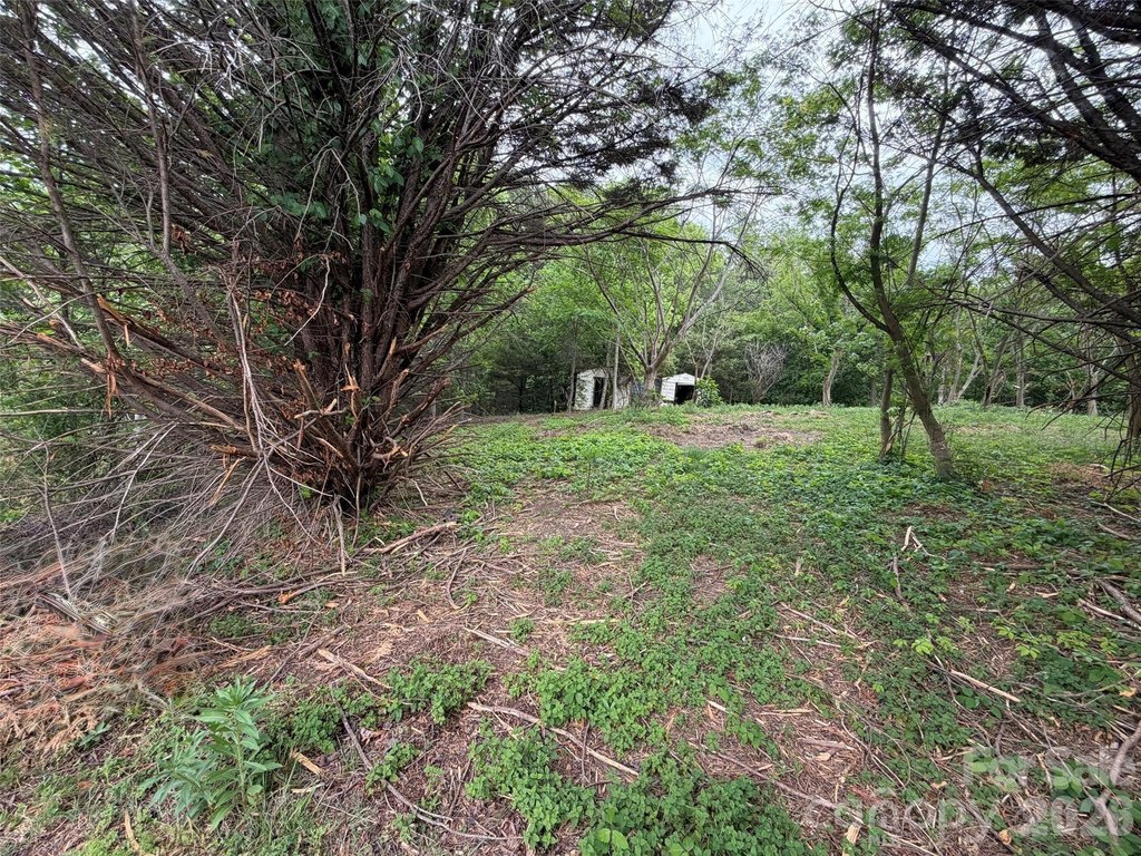 Picture 18