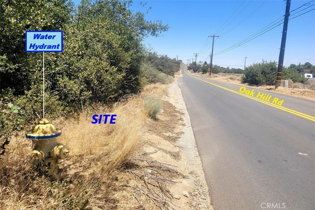 Picture 19