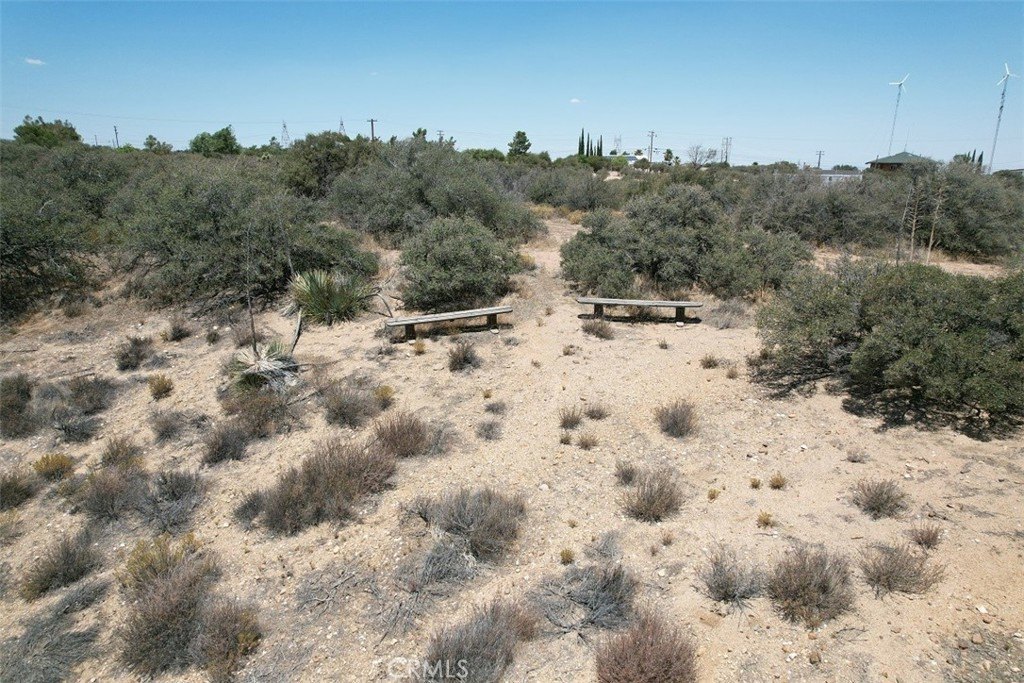 Picture 16