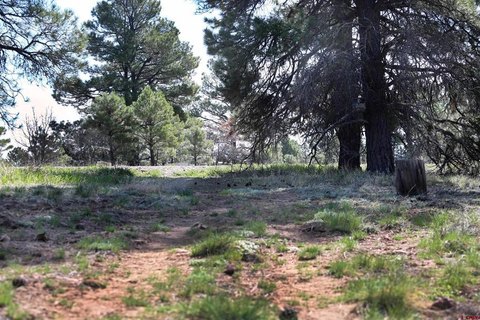 Pagosa Springs Residential Land Opportunity