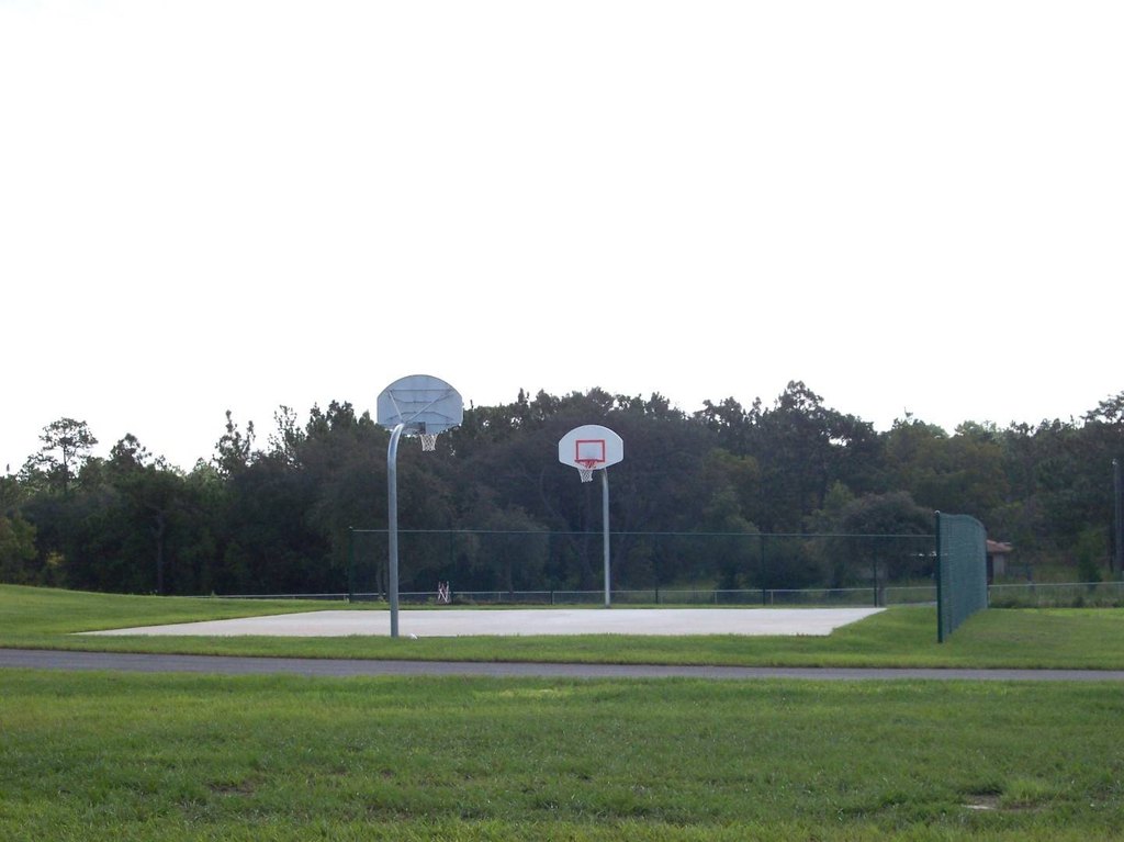 Picture 3