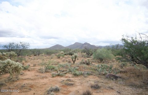 Diamond Bell Ranch Land