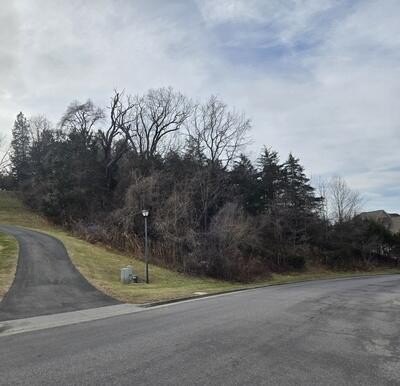 Residential Land in Fincastle, VA