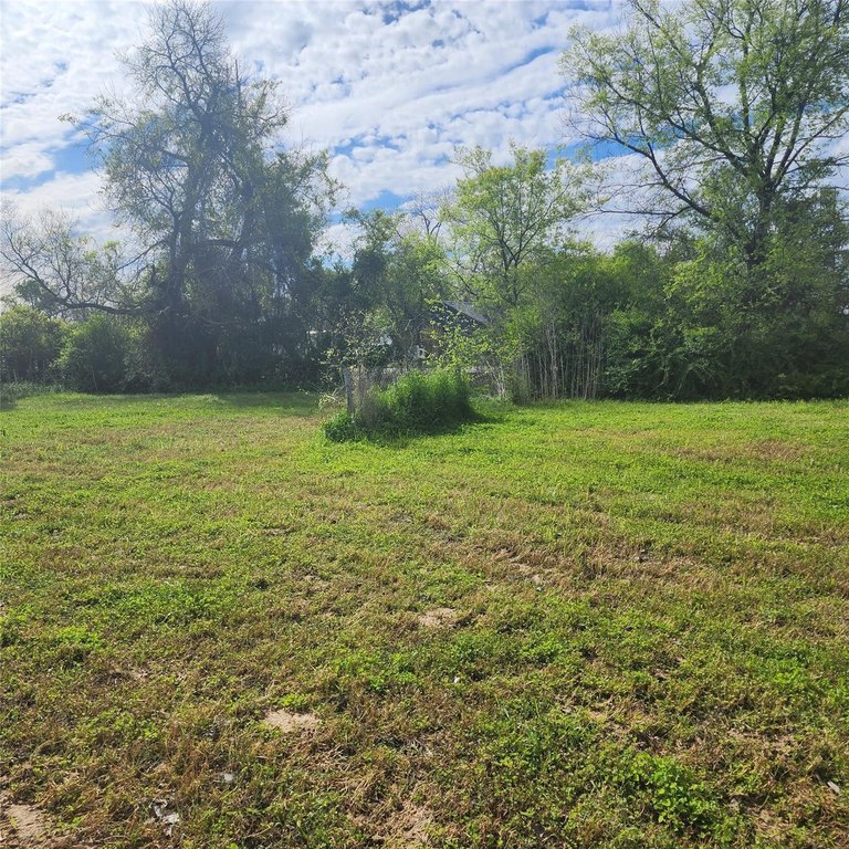 Picture 4