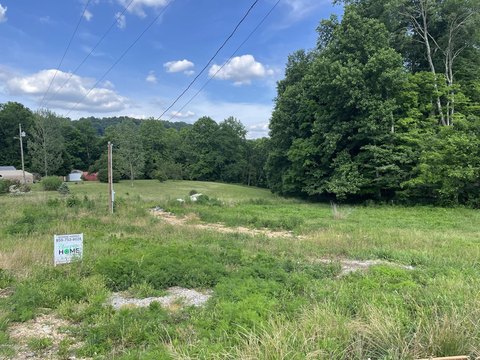 Wooded Lot with Utilities