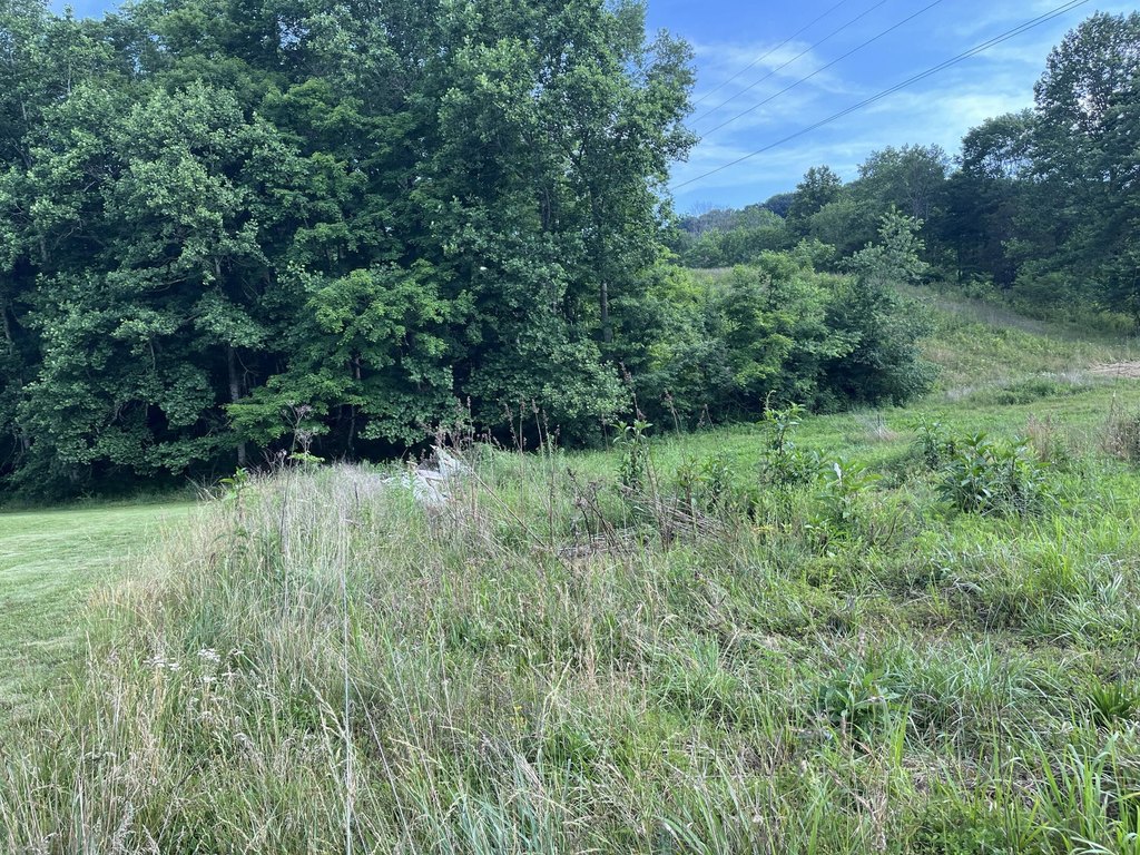 Picture 19