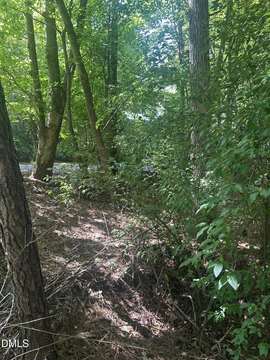 Land, Clayton, NC