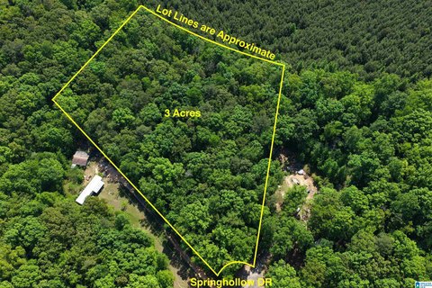 Large Lot in Ashville, AL