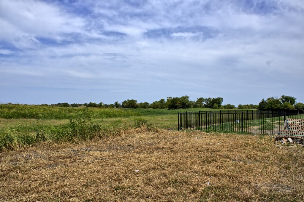 Picture 6