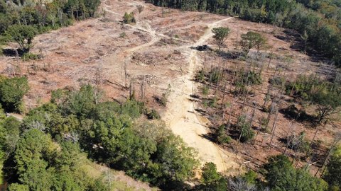 25 Acres Hunting Land in Wesson