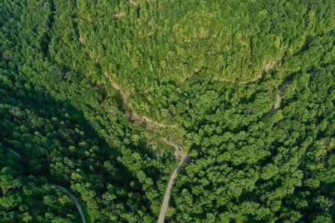 324 Acres of Kentucky Land