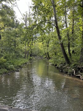 324 Acres of Kentucky Land