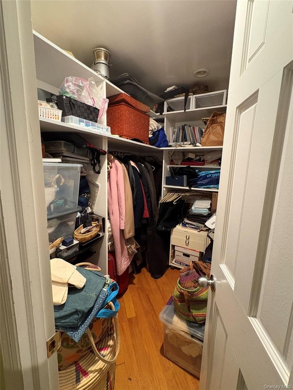 Picture 21