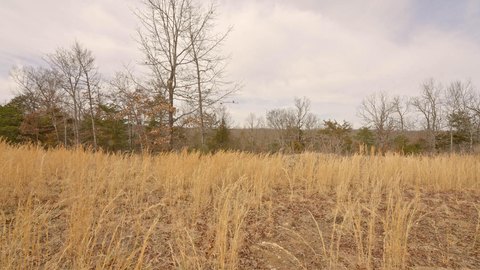 Gepp, AR Wooded Acreage