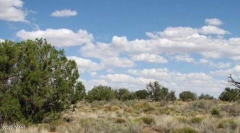 Heber, AZ Land Opportunity