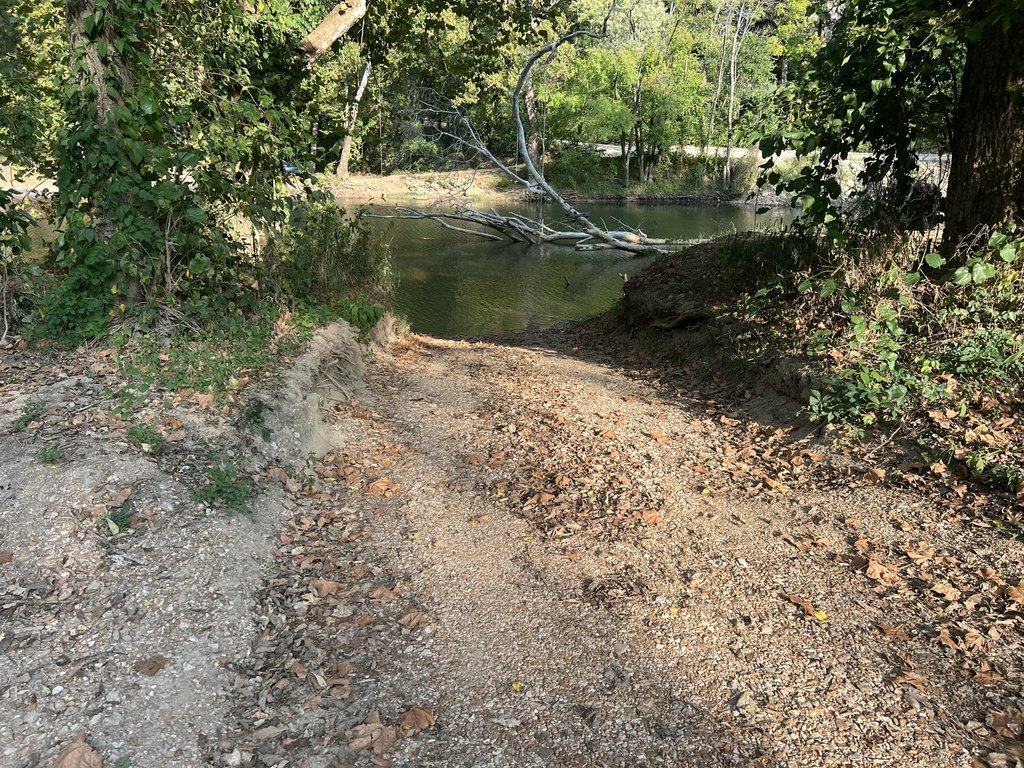 Picture 4