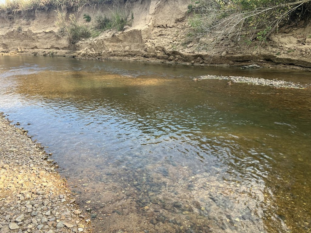 Picture 24