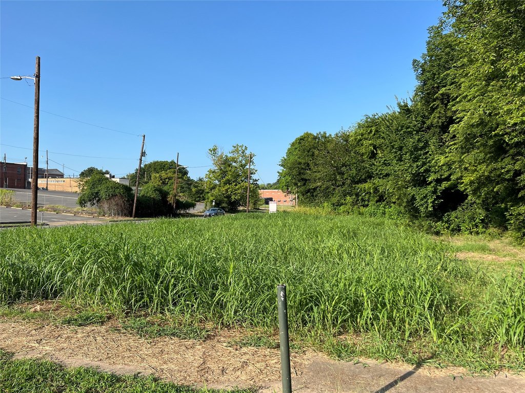 Picture 10