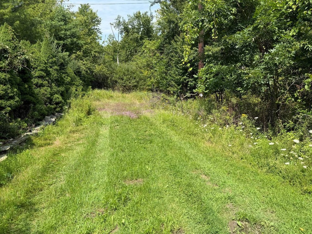 Picture 14