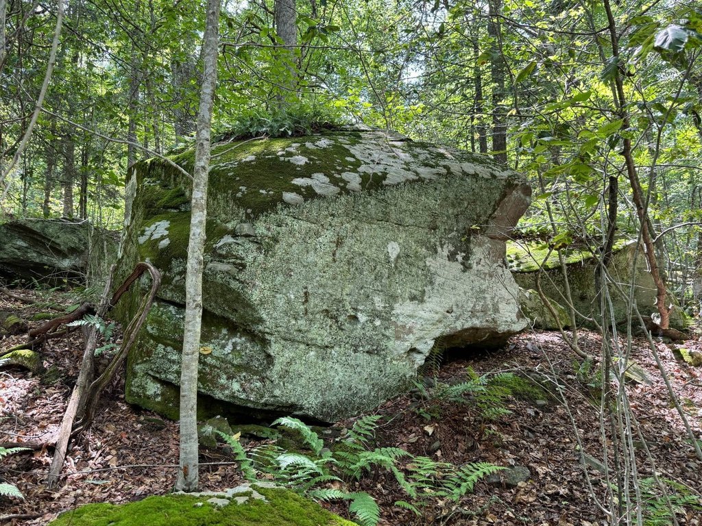 Picture 29
