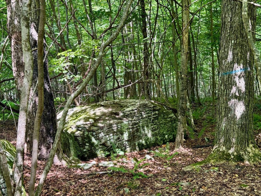 Picture 25