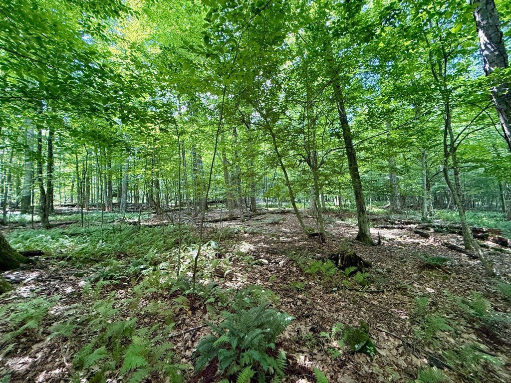 Picture 23